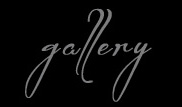 stevie nicks gallery